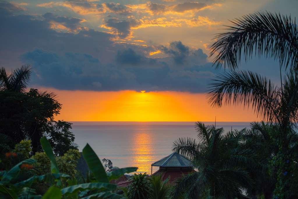Casa Chameleon Hotel Mal Pais - Adults Only Playa Santa Teresa  Facilities photo